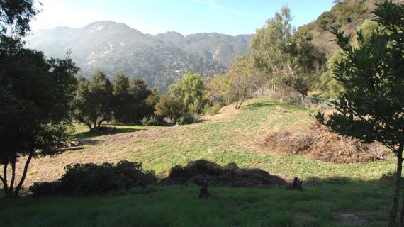 Topanga Land – SOLD