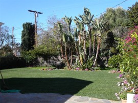 Charming Santa Monica Home – SOLD