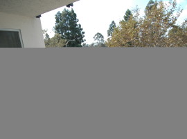 One Bedroom in Culver City – SOLD