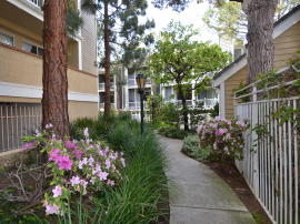 New Listing,  Playa Del Rey, Asking Price $528,000