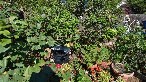 2018 Louella Ave., Bungalow in prime Venice! Asking Price, $1,280,000