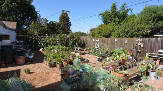 2018 Louella Ave, Venice